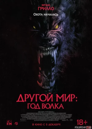 Bo'ri Yili 2024 HD Uzbek tilida Tarjima kino Skachat
